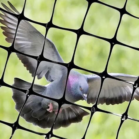The Impact of Quality Safety Nets on Modern Living Spaces