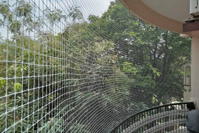 Ensuring Safety with Expert Safety Net Installation Services in Bangalore | Jeevan Safety Nets