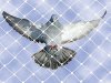 Shield Your Spaces: The Ultimate Guide to Innovative Pigeon Safety Net Installation in 2025