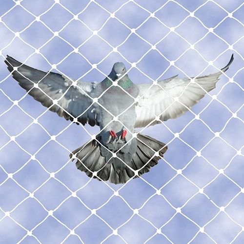 Shield Your Spaces: The Ultimate Guide to Innovative Pigeon Safety Net Installation in 2025